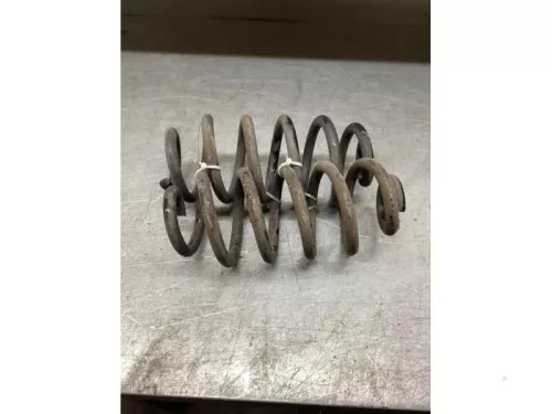 Schroefveer achter-7610226