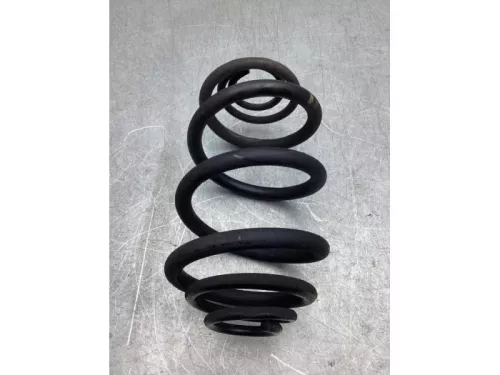 Schroefveer achter-8189323