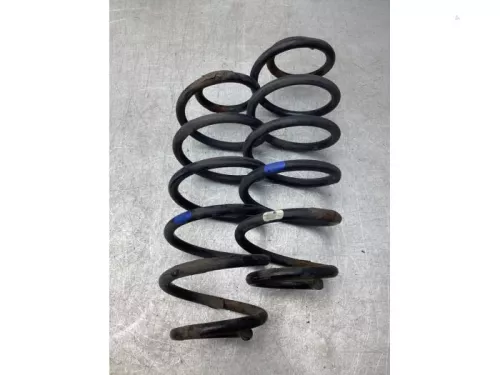 Schroefveer achter-7860381