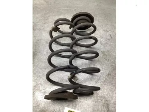 Schroefveer achter-8096778