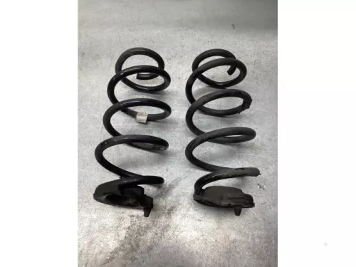 Schroefveer achter-7747224