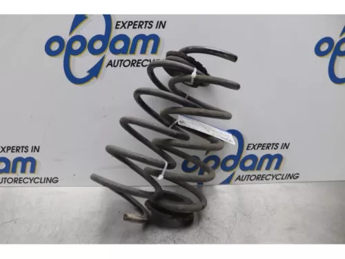 Schroefveer achter-7877750