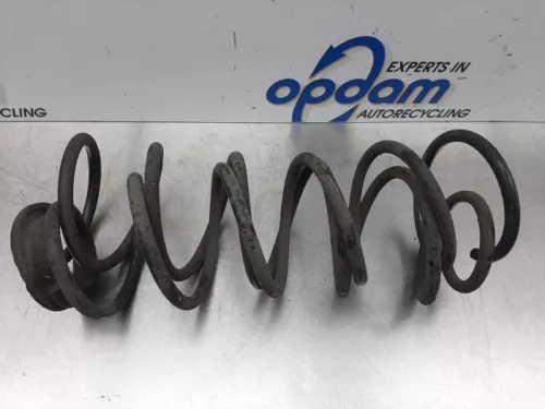 Schroefveer achter-7613777