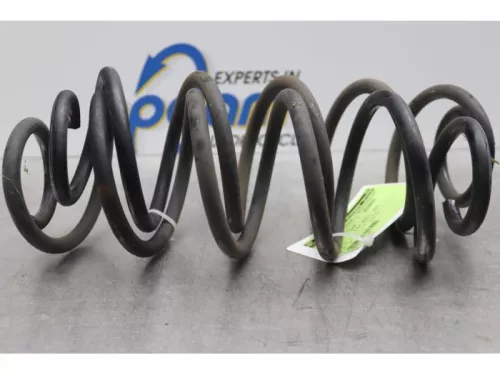 Schroefveer achter-7879783