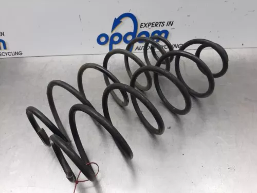 Schroefveer achter-7737080