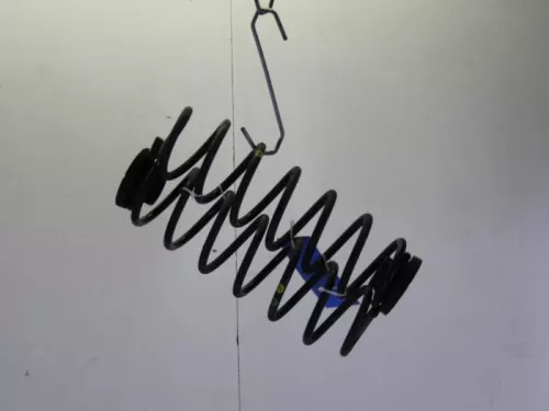 Schroefveer achter-7884113