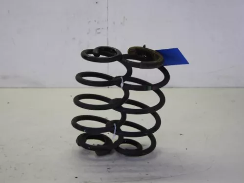 Schroefveer achter-7716209