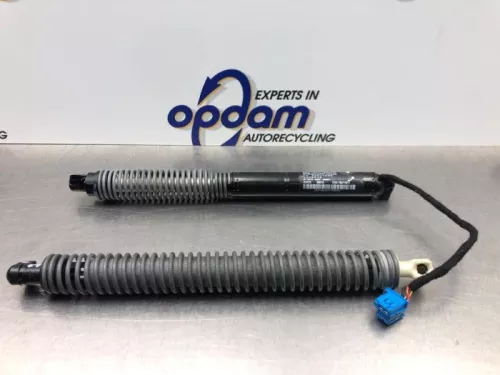 Set Gasdempers Achterklep-8181831