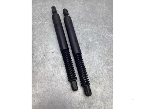 Set Gasdempers Achterklep-7933538