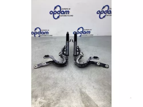 Set Gasdempers Achterklep-6880546