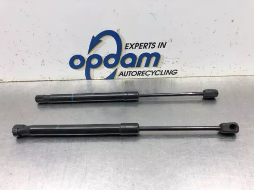 Set Gasdempers Achterklep-8155664