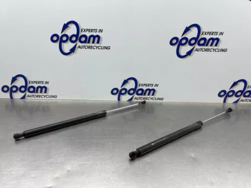 Set Gasdempers Achterklep-8300416