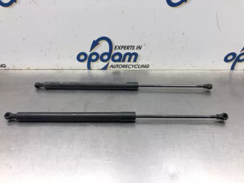 Set Gasdempers Achterklep-8081229