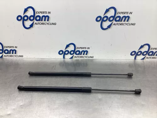 Set Gasdempers Achterklep-8048634