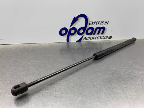 Set Gasdempers Achterklep-8213510 (21981393)