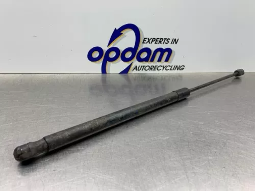 Set Gasdempers Achterklep-8213510 (21981393)