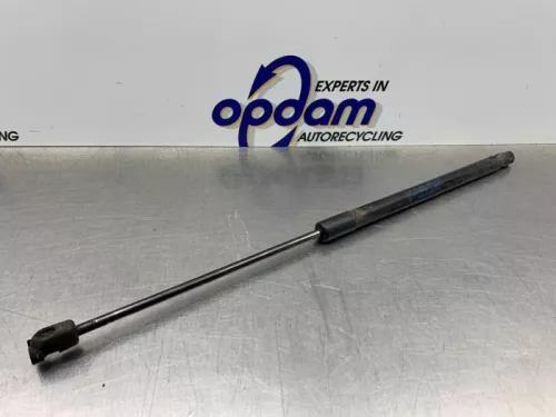 Set Gasdempers Achterklep-8198454 (21986140)