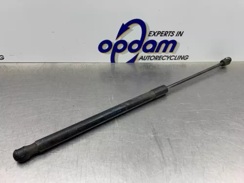 Set Gasdempers Achterklep-8198454 (21986140)