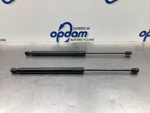 Set Gasdempers Achterklep-8063464