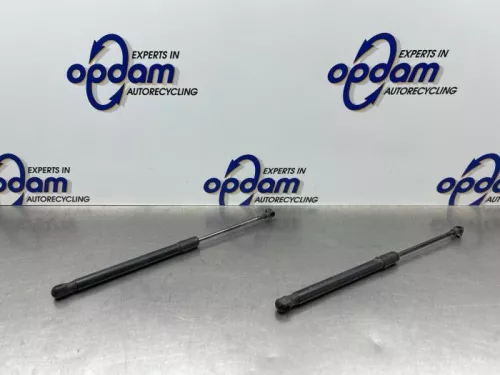 Set Gasdempers Achterklep-8200924