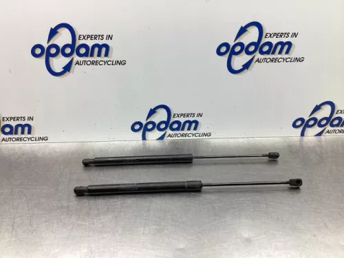 Set Gasdempers Achterklep-7764619