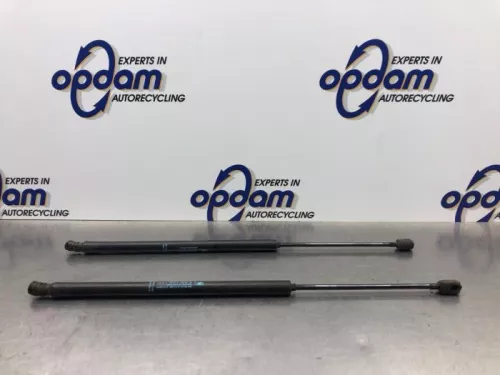 Set Gasdempers Achterklep-8108186