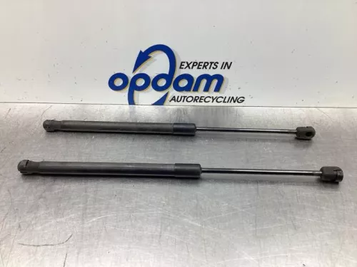 Set Gasdempers Achterklep-8026231