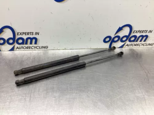 Set Gasdempers Achterklep-8077182 (19714098)