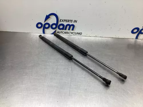 Set Gasdempers Achterklep-8077182 (19714098)