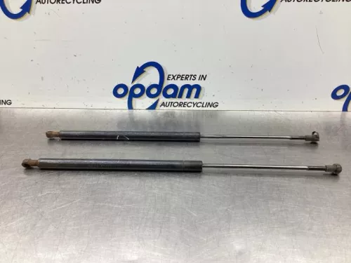 Set Gasdempers Achterklep-8044391