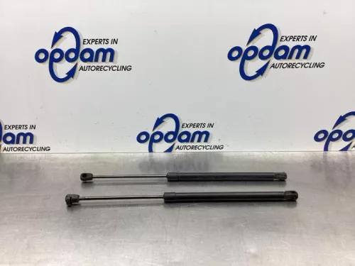 Set Gasdempers Achterklep-7819757