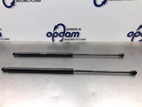 Set Gasdempers Achterklep-8228620