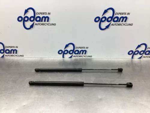 Set Gasdempers Achterklep-8047314 (18792144)