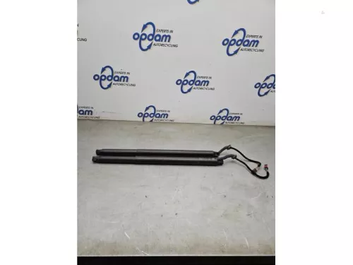 Set Gasdempers Achterklep-8190783