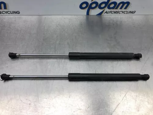 Set Gasdempers Achterklep-7619495