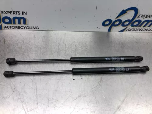 Set Gasdempers Achterklep-7577066