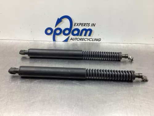 Set Gasdempers Achterklep-7881681