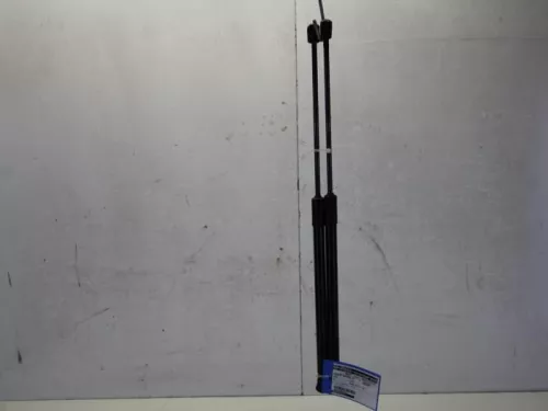 Set Gasdempers Achterklep-7881383 (10763788)