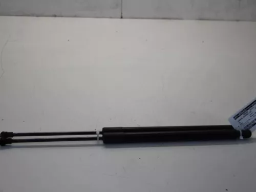 Set Gasdempers Achterklep-7582881