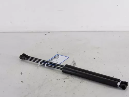 Set Gasdempers Achterklep-7888840 (5410437)