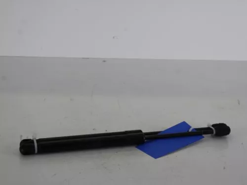 Set Gasdempers Achterklep-7889035 (6017187)
