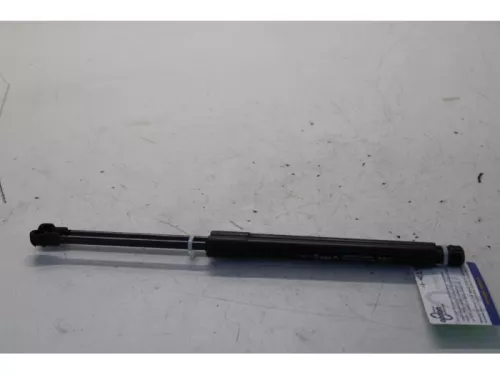 Set Gasdempers Achterklep-7619384 (13102216)