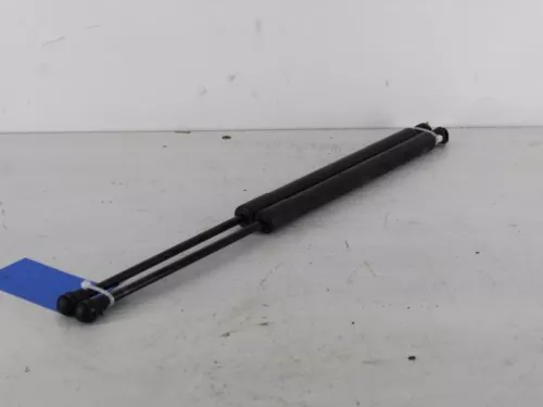 Set Gasdempers Achterklep-7888663 (5666621)