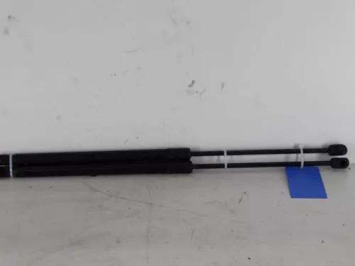 Set Gasdempers Achterklep-7620380 (5757067)