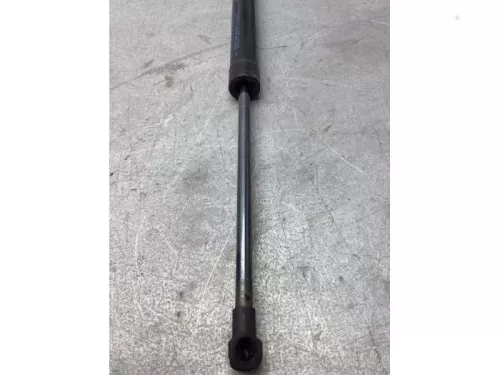 Set Gasdempers Achterklep-8068433 (21885535)