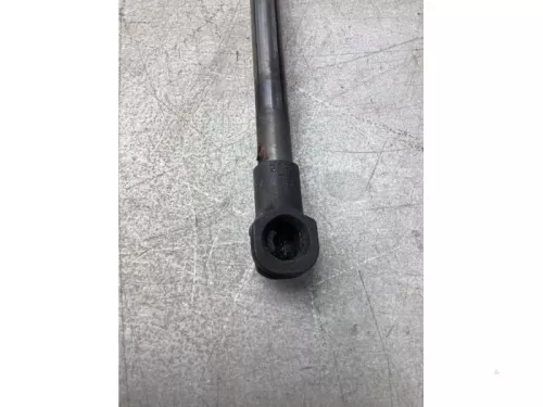 Set Gasdempers Achterklep-8068433 (21885535)