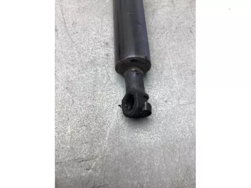 Set Gasdempers Achterklep-8068433 (21885535)