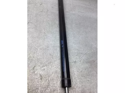 Set Gasdempers Achterklep-8068433 (21885535)