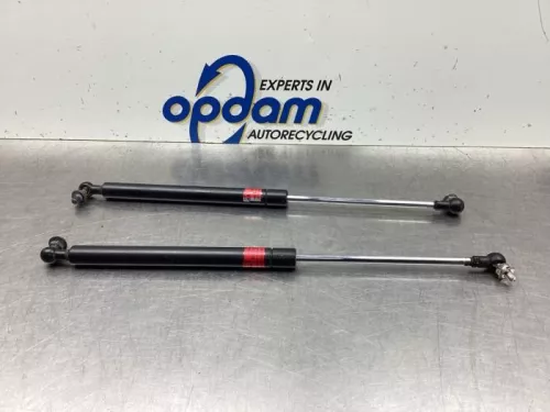 Set Gasdempers Achterklep-8092992 (19357915)