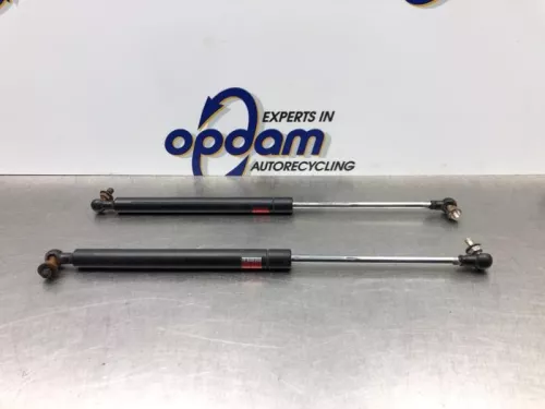 Set Gasdempers Achterklep-8177417 (20535043)
